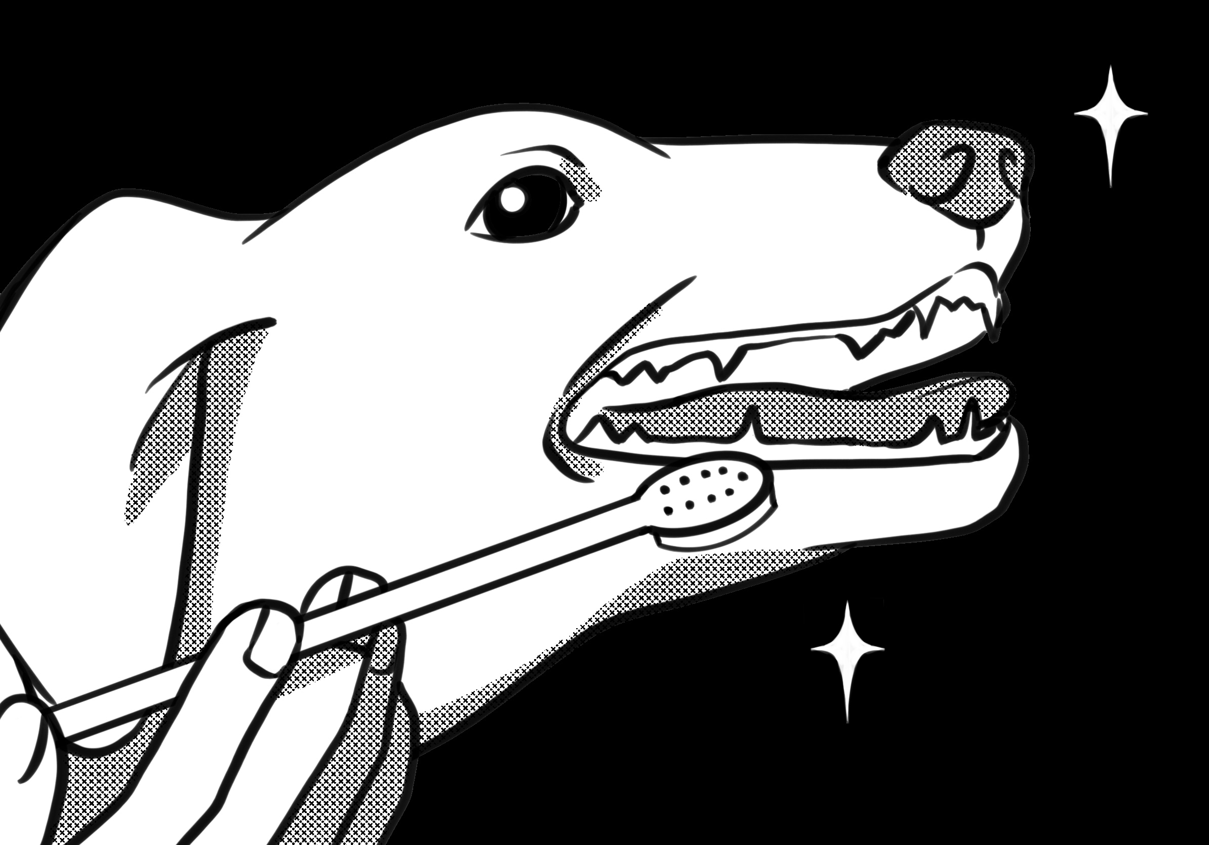 Pet Dental Care Best Practices A dog is having its teeth brushed